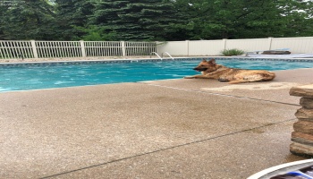 4018 Cleveland Rd, Huron, 44839, 5 Bedrooms Bedrooms, ,2 BathroomsBathrooms,Residential,For Sale,Cleveland Rd,20254290