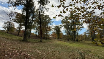 4018 Cleveland Rd, Huron, 44839, 5 Bedrooms Bedrooms, ,2 BathroomsBathrooms,Residential,For Sale,Cleveland Rd,20254290