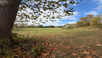 4018 Cleveland Rd, Huron, 44839, 5 Bedrooms Bedrooms, ,2 BathroomsBathrooms,Residential,For Sale,Cleveland Rd,20254290