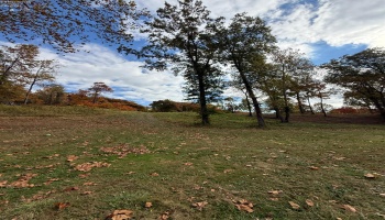 4018 Cleveland Rd, Huron, 44839, 5 Bedrooms Bedrooms, ,2 BathroomsBathrooms,Residential,For Sale,Cleveland Rd,20254290