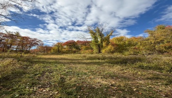 4018 Cleveland Rd, Huron, 44839, 5 Bedrooms Bedrooms, ,2 BathroomsBathrooms,Residential,For Sale,Cleveland Rd,20254290