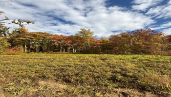 4018 Cleveland Rd, Huron, 44839, 5 Bedrooms Bedrooms, ,2 BathroomsBathrooms,Residential,For Sale,Cleveland Rd,20254290