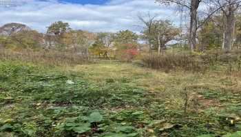 4018 Cleveland Rd, Huron, 44839, 5 Bedrooms Bedrooms, ,2 BathroomsBathrooms,Residential,For Sale,Cleveland Rd,20254290