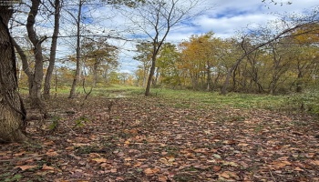 4018 Cleveland Rd, Huron, 44839, 5 Bedrooms Bedrooms, ,2 BathroomsBathrooms,Residential,For Sale,Cleveland Rd,20254290