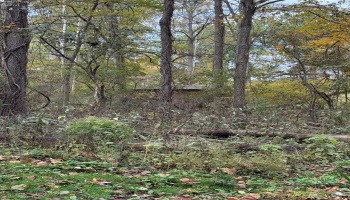 4018 Cleveland Rd, Huron, 44839, 5 Bedrooms Bedrooms, ,2 BathroomsBathrooms,Residential,For Sale,Cleveland Rd,20254290