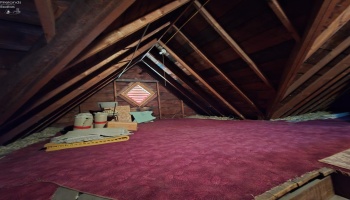 1035 Campbell Street, Sandusky, 44870, 3 Bedrooms Bedrooms, ,2 BathroomsBathrooms,Residential,For Sale,Campbell,20252499 1035 Campbell Street, Sandusky, 44870, 3 Bedrooms Bedrooms, ,2 BathroomsBathrooms,Residential,For Sale,Campbell,20252499