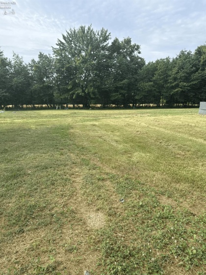 305 Tenth Street, Sycamore, 44882, 5 Bedrooms Bedrooms, ,5 BathroomsBathrooms,Residential,For Sale,Tenth,20253472