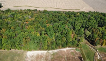 1750 Murray Road, New London, 44851, 3 Bedrooms Bedrooms, ,2 BathroomsBathrooms,Residential,For Sale,Murray,20254323