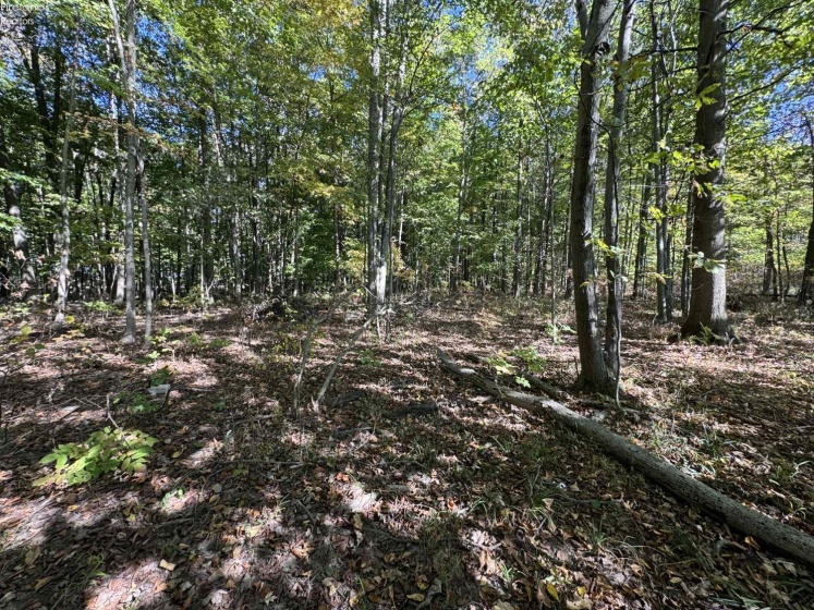 1750 Murray Road, New London, 44851, 3 Bedrooms Bedrooms, ,2 BathroomsBathrooms,Residential,For Sale,Murray,20254323