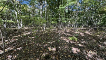 1750 Murray Road, New London, 44851, 3 Bedrooms Bedrooms, ,2 BathroomsBathrooms,Residential,For Sale,Murray,20254323