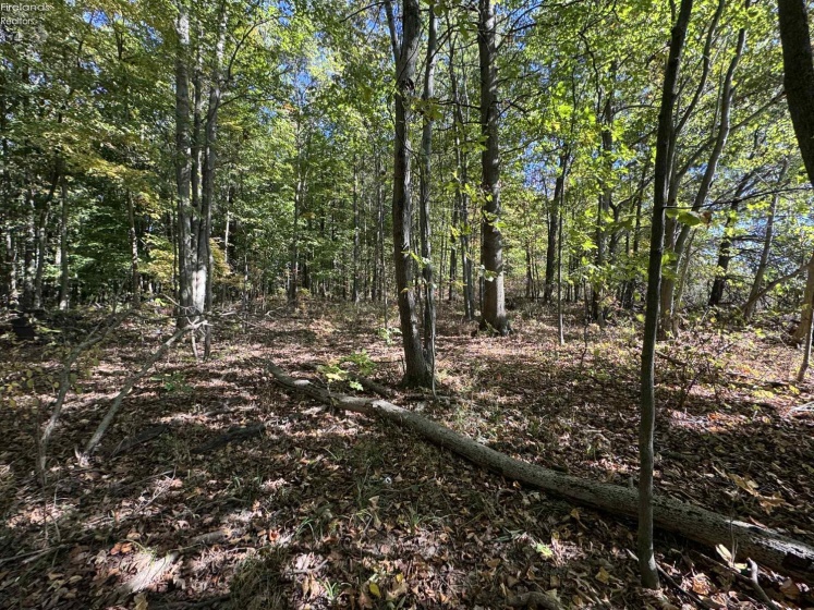 1750 Murray Road, New London, 44851, 3 Bedrooms Bedrooms, ,2 BathroomsBathrooms,Residential,For Sale,Murray,20254323