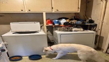 332 Parish Street, Sandusky, 44870, 4 Bedrooms Bedrooms, ,1 BathroomBathrooms,Residential,For Sale,Parish,20253640