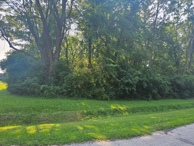 11103 Dyke Rd., Curtice, 43412, 3 Bedrooms Bedrooms, ,2 BathroomsBathrooms,Residential,For Sale,Dyke Rd.,20252900