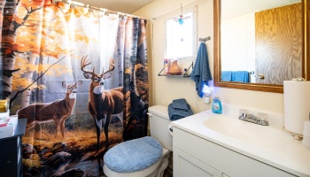 199 Morningside Drive, Port Clinton, 43452, 3 Bedrooms Bedrooms, ,2 BathroomsBathrooms,Residential,For Sale,Morningside,20254219