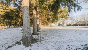 1250 Morrison Road, Fremont, 43420, 4 Bedrooms Bedrooms, ,3 BathroomsBathrooms,Residential,For Sale,Morrison,20254381 1250 Morrison Road, Fremont, 43420, 4 Bedrooms Bedrooms, ,3 BathroomsBathrooms,Residential,For Sale,Morrison,20254381