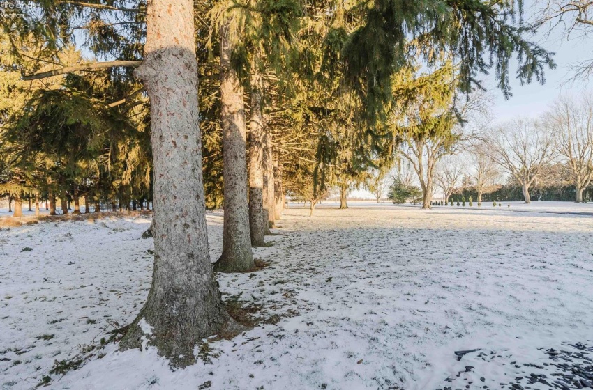 1250 Morrison Road, Fremont, 43420, 4 Bedrooms Bedrooms, ,3 BathroomsBathrooms,Residential,For Sale,Morrison,20254381