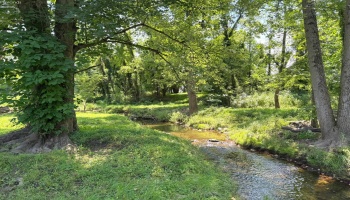 209 Main Street, North Fairfield, 44855, 5 Bedrooms Bedrooms, ,2 BathroomsBathrooms,Residential,For Sale,Main,20253065