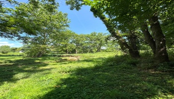 209 Main Street, North Fairfield, 44855, 5 Bedrooms Bedrooms, ,2 BathroomsBathrooms,Residential,For Sale,Main,20253065