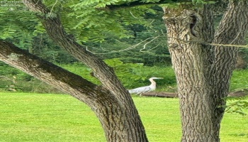 209 Main Street, North Fairfield, 44855, 5 Bedrooms Bedrooms, ,2 BathroomsBathrooms,Residential,For Sale,Main,20253065