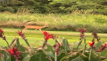 209 Main Street, North Fairfield, 44855, 5 Bedrooms Bedrooms, ,2 BathroomsBathrooms,Residential,For Sale,Main,20253065