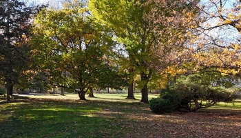 2961 Ridge Road, Norwalk, 44857, 4 Bedrooms Bedrooms, ,5 BathroomsBathrooms,Residential,For Sale,Ridge,20254369 2961 Ridge Road, Norwalk, 44857, 4 Bedrooms Bedrooms, ,5 BathroomsBathrooms,Residential,For Sale,Ridge,20254369