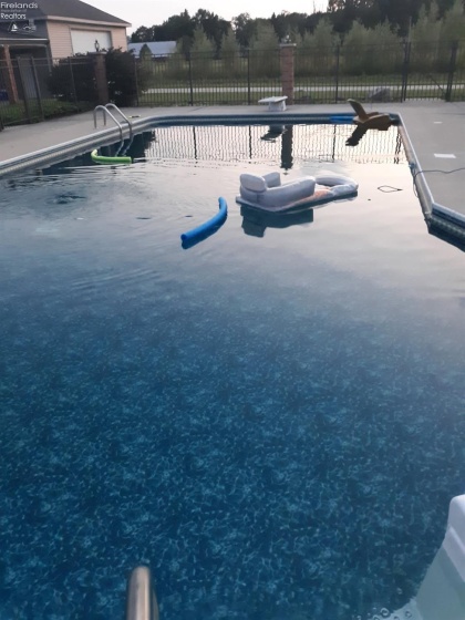 20240 Portage River South Road, Woodville, 43469, 3 Bedrooms Bedrooms, ,3 BathroomsBathrooms,Residential,For Sale,Portage River South,20254313