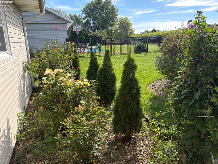 1981 Skinner Road, Plymouth, 44865, 3 Bedrooms Bedrooms, ,2 BathroomsBathrooms,Residential,For Sale,Skinner,20253965