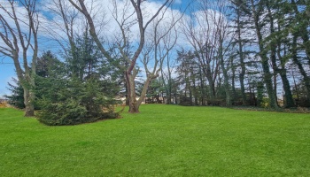 3883 County Road 183, Clyde, 43410, 3 Bedrooms Bedrooms, ,2 BathroomsBathrooms,Residential,For Sale,County Road 183,20254646 3883 County Road 183, Clyde, 43410, 3 Bedrooms Bedrooms, ,2 BathroomsBathrooms,Residential,For Sale,County Road 183,20254646