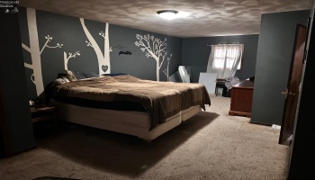 7563 County Road 21, Rising Sun, 43457, 3 Bedrooms Bedrooms, ,2 BathroomsBathrooms,Residential,For Sale,County Road 21,20254621