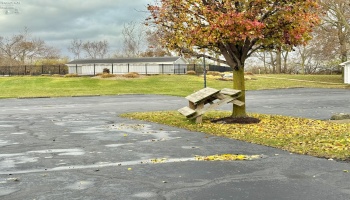 10921 Bay Point Drive, Marblehead, 43440, 3 Bedrooms Bedrooms, ,3 BathroomsBathrooms,Residential,For Sale,Bay Point,20254635 10921 Bay Point Drive, Marblehead, 43440, 3 Bedrooms Bedrooms, ,3 BathroomsBathrooms,Residential,For Sale,Bay Point,20254635