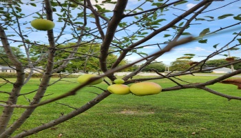 1101 Bogart Road, Sandusky, 44870, 4 Bedrooms Bedrooms, ,3 BathroomsBathrooms,Residential,For Sale,Bogart,20253344