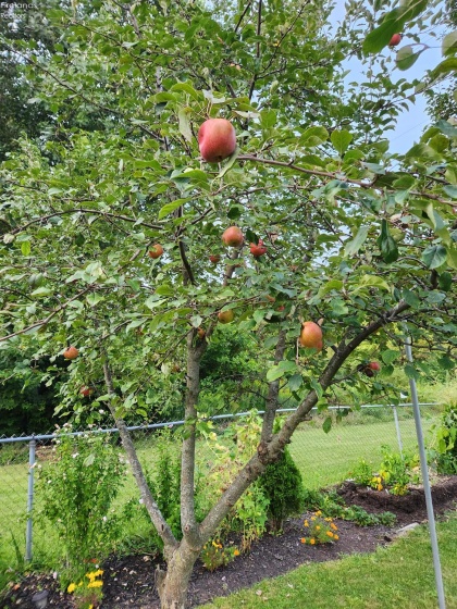 1101 Bogart Road, Sandusky, 44870, 4 Bedrooms Bedrooms, ,3 BathroomsBathrooms,Residential,For Sale,Bogart,20253344