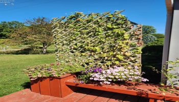 1101 Bogart Road, Sandusky, 44870, 4 Bedrooms Bedrooms, ,3 BathroomsBathrooms,Residential,For Sale,Bogart,20253344