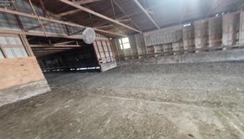 2301 Mud Creek Road, Oak Harbor, 43449, 4 Bedrooms Bedrooms, ,2 BathroomsBathrooms,Residential,For Sale,Mud Creek,20254237