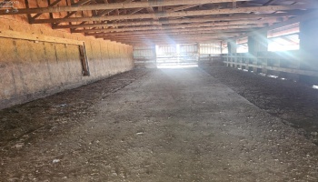 2301 Mud Creek Road, Oak Harbor, 43449, 4 Bedrooms Bedrooms, ,2 BathroomsBathrooms,Residential,For Sale,Mud Creek,20254237