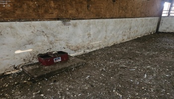 2301 Mud Creek Road, Oak Harbor, 43449, 4 Bedrooms Bedrooms, ,2 BathroomsBathrooms,Residential,For Sale,Mud Creek,20254237