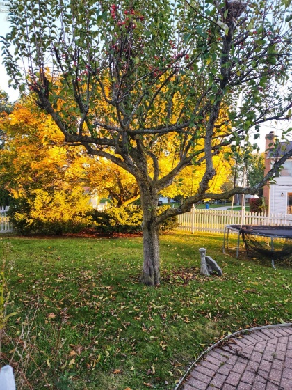 210 Gordon Drive, Oak Harbor, 43449, 4 Bedrooms Bedrooms, ,3 BathroomsBathrooms,Residential,For Sale,Gordon,20254558