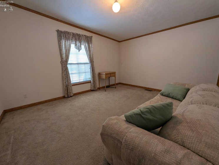 16030 Moline Martin Road, Graytown, 43432, 3 Bedrooms Bedrooms, ,2 BathroomsBathrooms,Residential,For Sale,Moline Martin,20254691