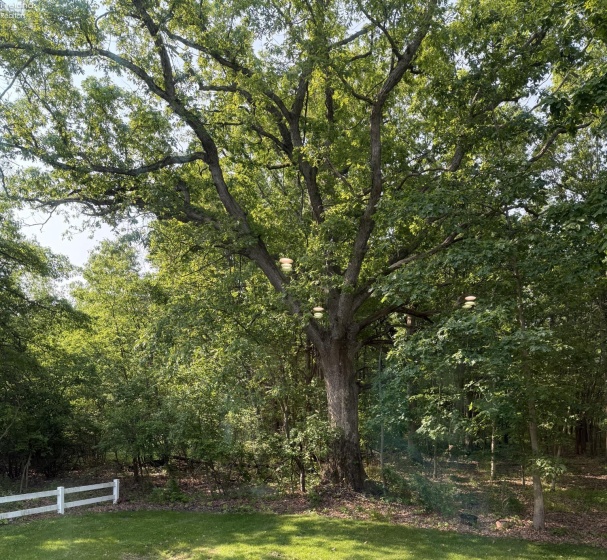 3741 Parkside Reserve Street, Vermilion, 44089, 3 Bedrooms Bedrooms, ,3 BathroomsBathrooms,Residential,For Sale,Parkside Reserve,20254724