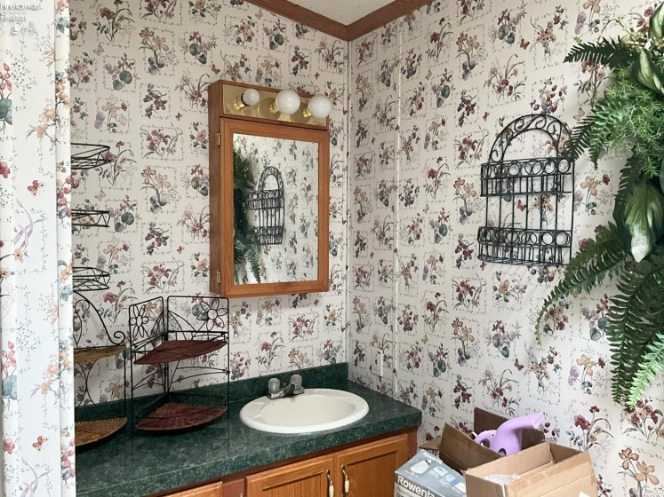 21 Cedar Street, New London, 44851, 3 Bedrooms Bedrooms, ,2 BathroomsBathrooms,Residential,For Sale,Cedar,20253838