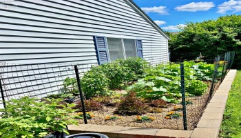 134 Walker Street, Tiffin, 44883, 3 Bedrooms Bedrooms, ,2 BathroomsBathrooms,Residential,For Sale,Walker,20254773