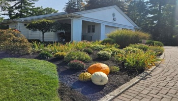 20 James Street, Norwalk, 44857, 4 Bedrooms Bedrooms, ,4 BathroomsBathrooms,Residential,For Sale,James,20254787