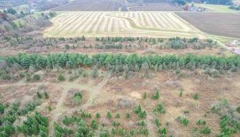 0 Bursley Road, Wellington, 44090, ,Land,For Sale,Bursley,20254586