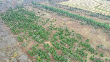 0 Bursley Road, Wellington, 44090, ,Land,For Sale,Bursley,20254586