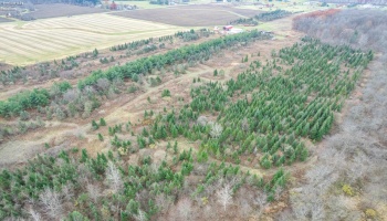 0 Bursley Road, Wellington, 44090, ,Land,For Sale,Bursley,20254586