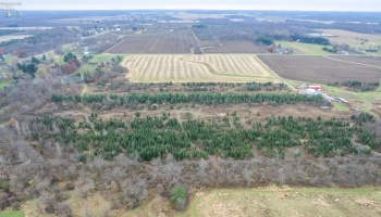 0 Bursley Road, Wellington, 44090, ,Land,For Sale,Bursley,20254586