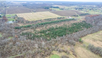 0 Bursley Road, Wellington, 44090, ,Land,For Sale,Bursley,20254586