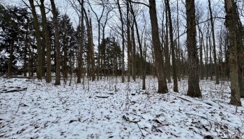 4757 Wenz Road, Wakeman, 44889, 3 Bedrooms Bedrooms, ,2 BathroomsBathrooms,Residential,For Sale,Wenz,20254828