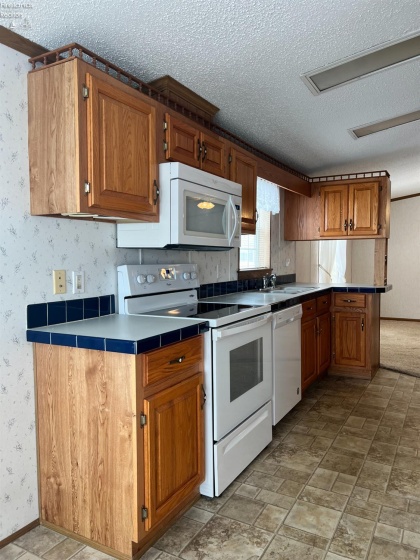 60 State Route 101 Lot 115, Tiffin, 44883, 3 Bedrooms Bedrooms, ,2 BathroomsBathrooms,Residential,For Sale,State Route 101 Lot 115,20254845