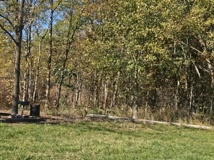 0 Mud Creek Road, Oak Harbor, 43449, ,Land,For Sale,Mud Creek,20260021